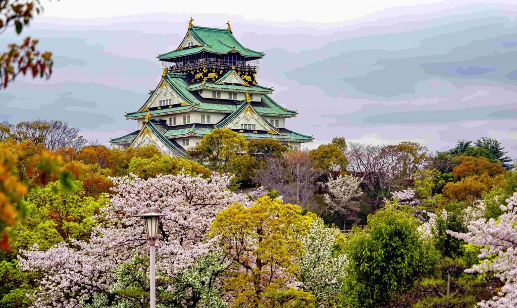 Cherry blossom in Osaka in Japan
