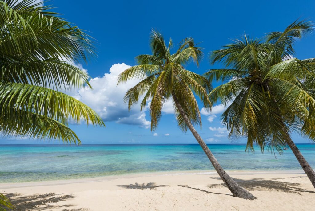 Barbados beach free Caribbean cruise