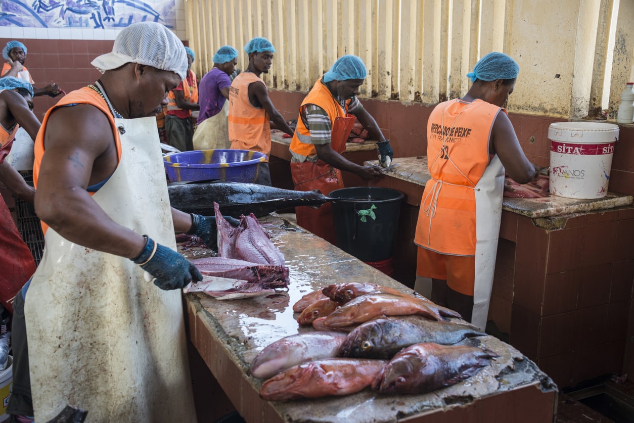 Mindel fish market Cape Verde