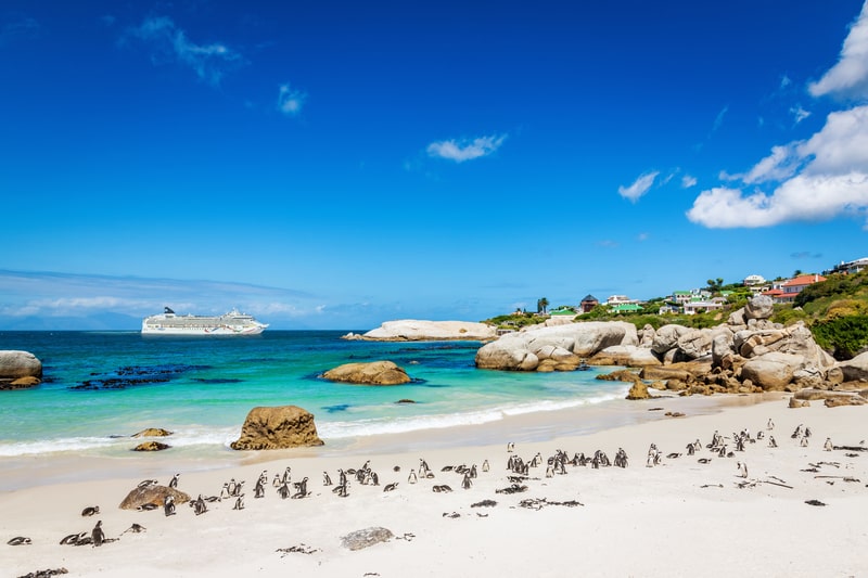 ncl-dawn-capetown boulders beach south africa cruises