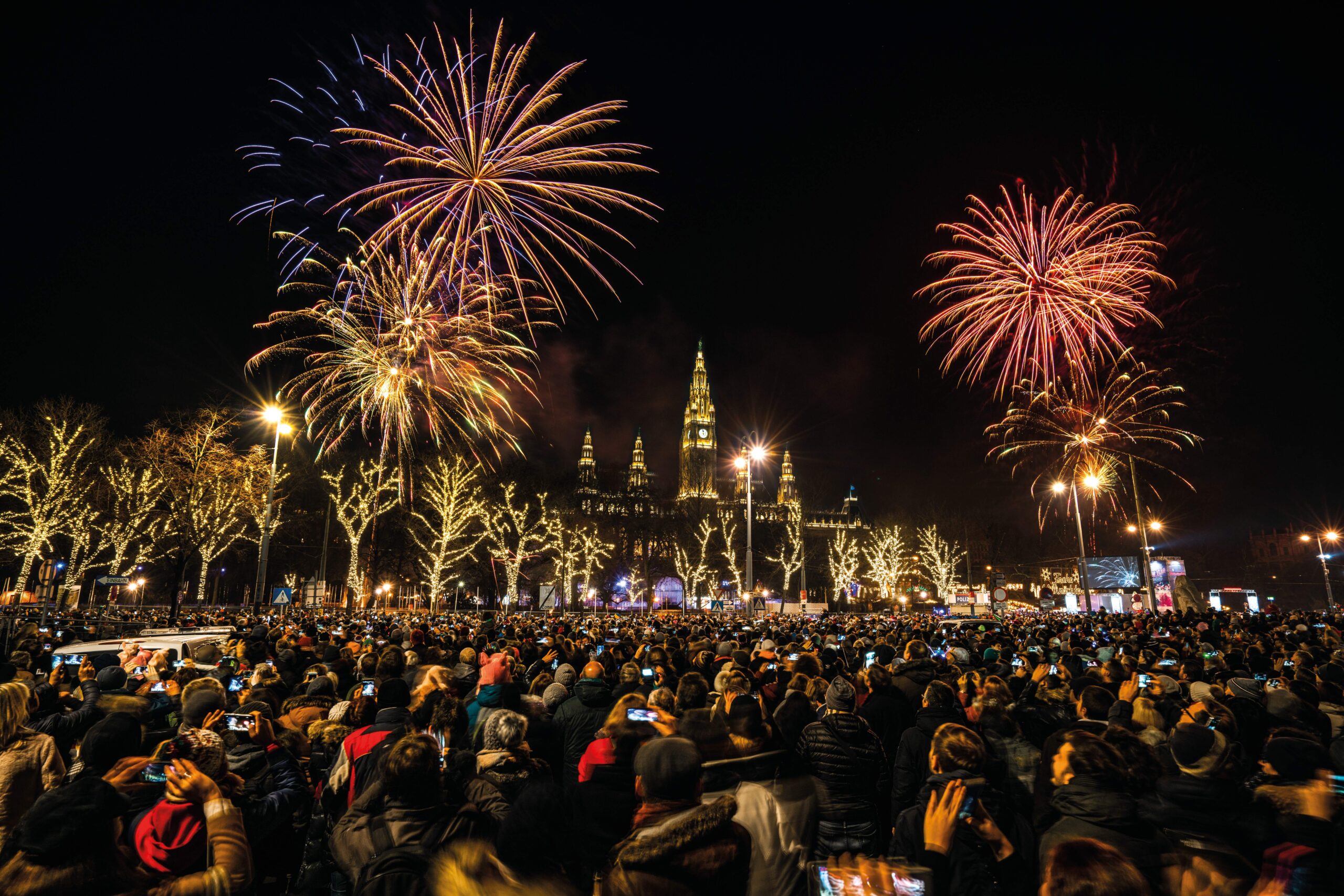 Vienna-New-Year fireworks