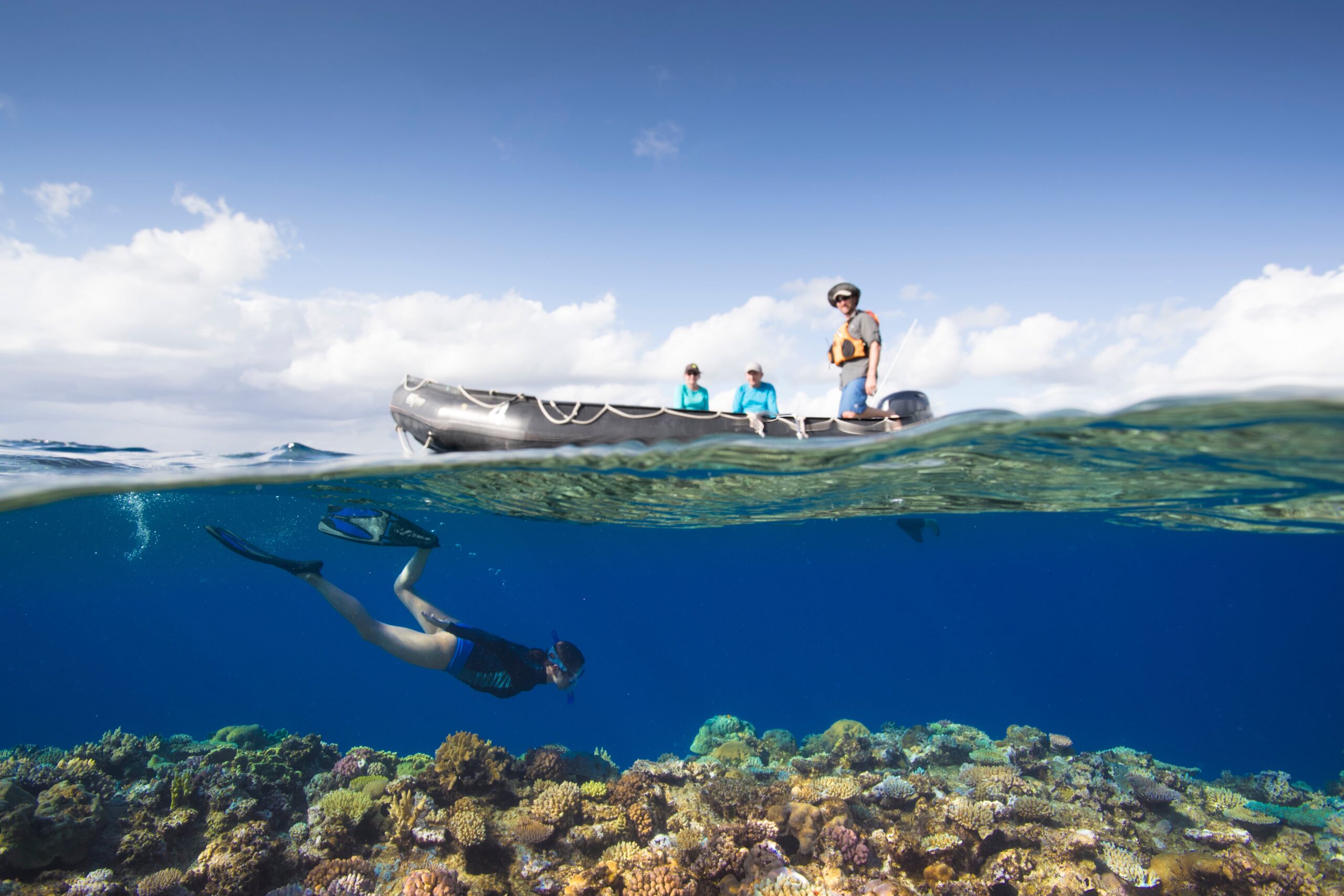 Seabourn snorkelling