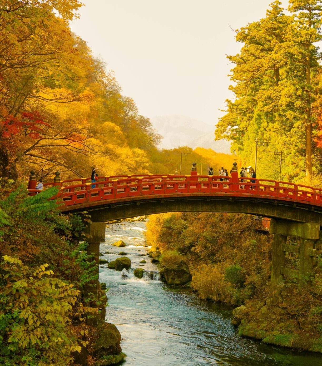Japan in Autumn
