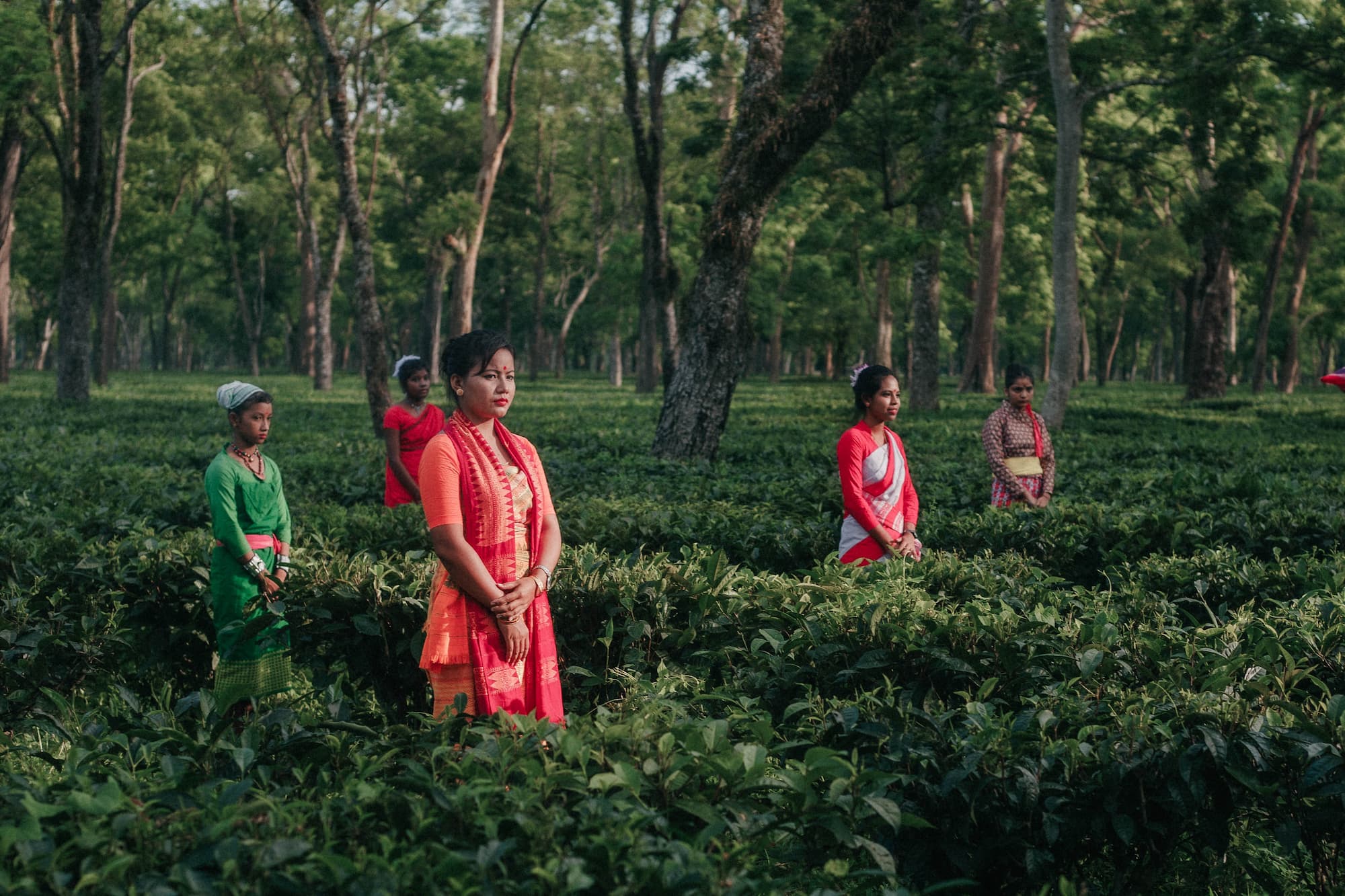 The villagers in Assam wear brightly colored saris