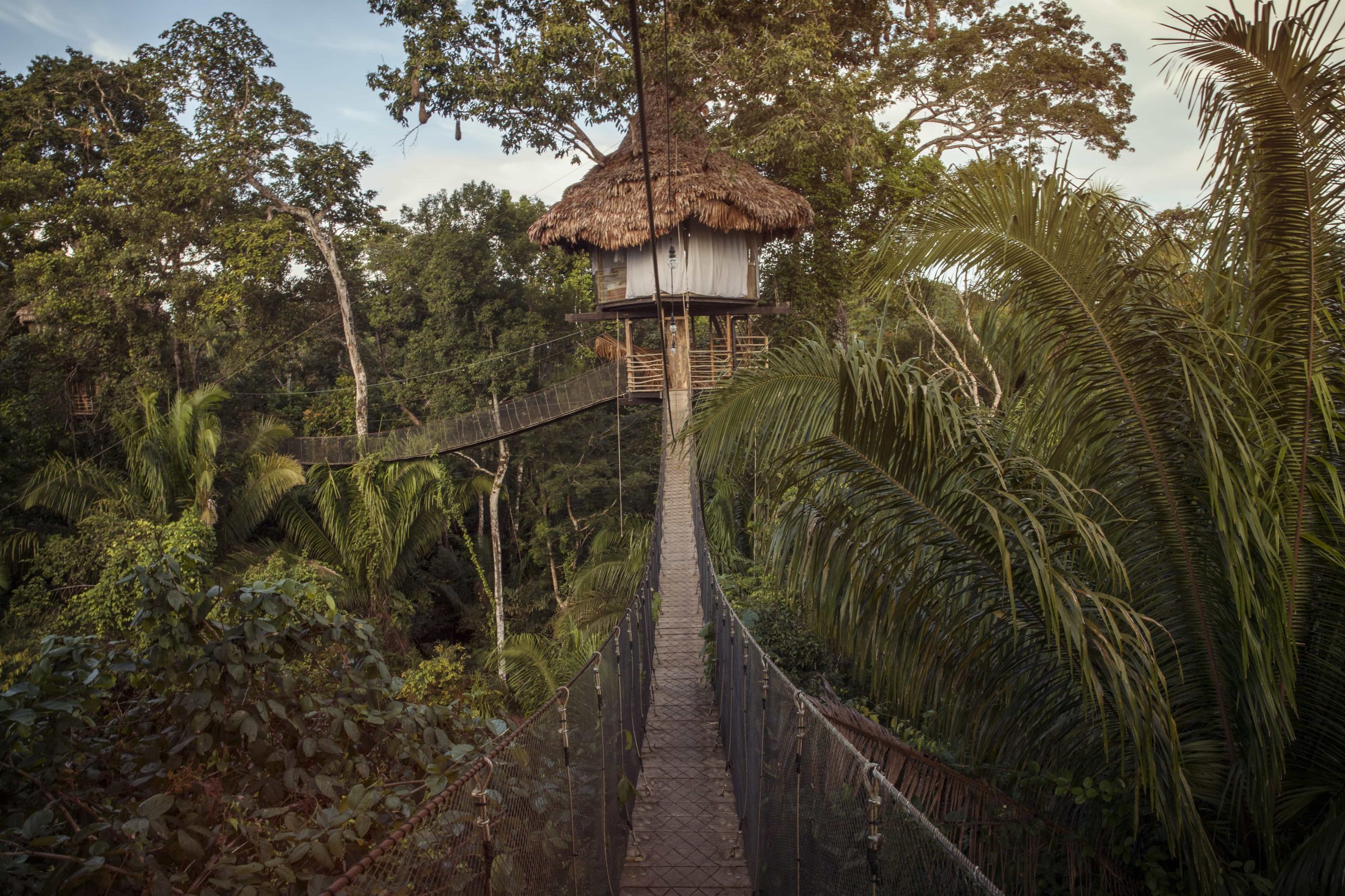 Amazon river jungle tree hut