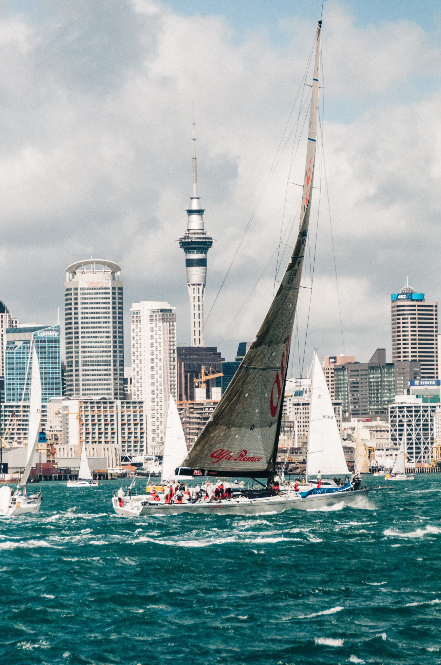 Auckland yachts