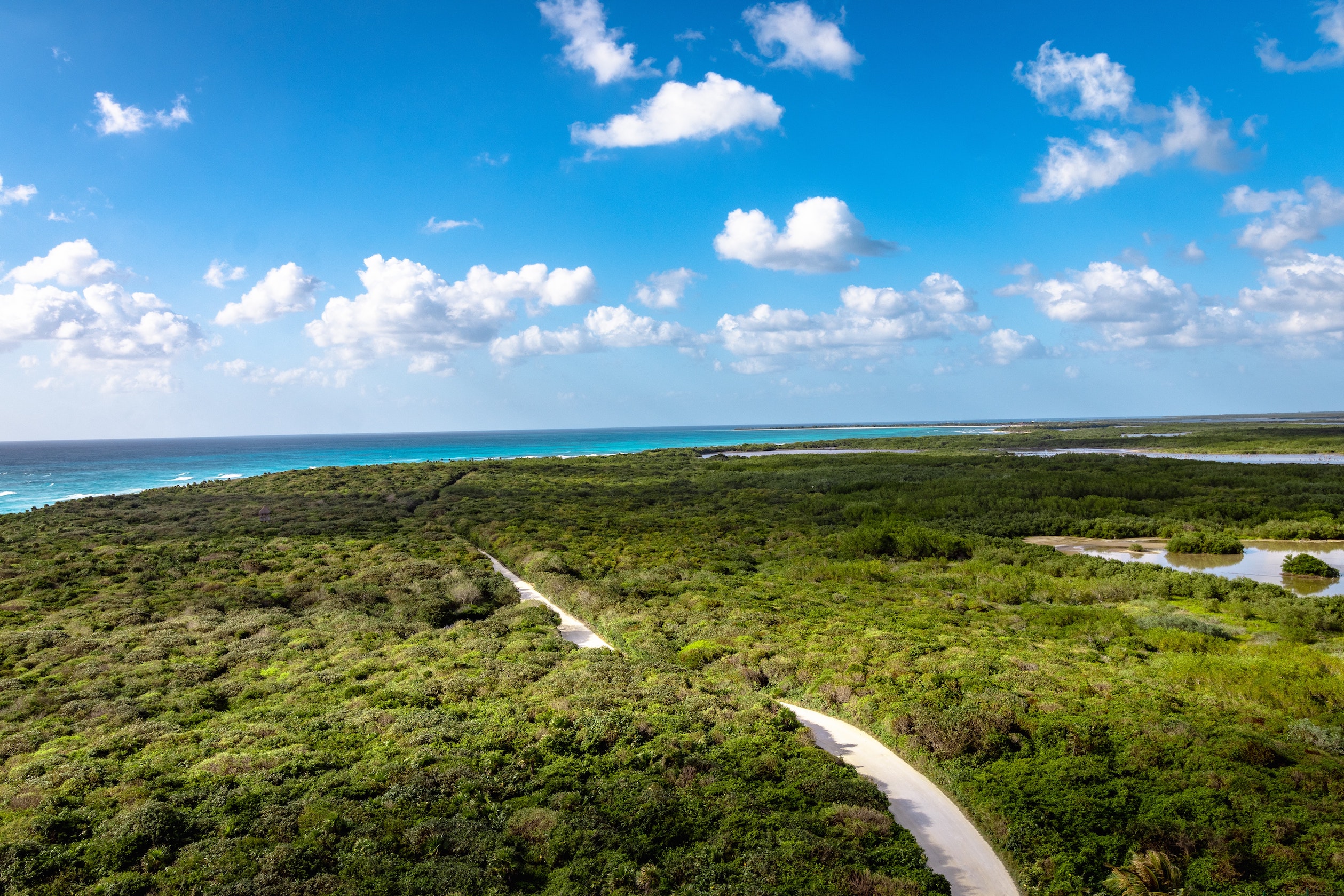 Cozumel is a nature lovers' paradise