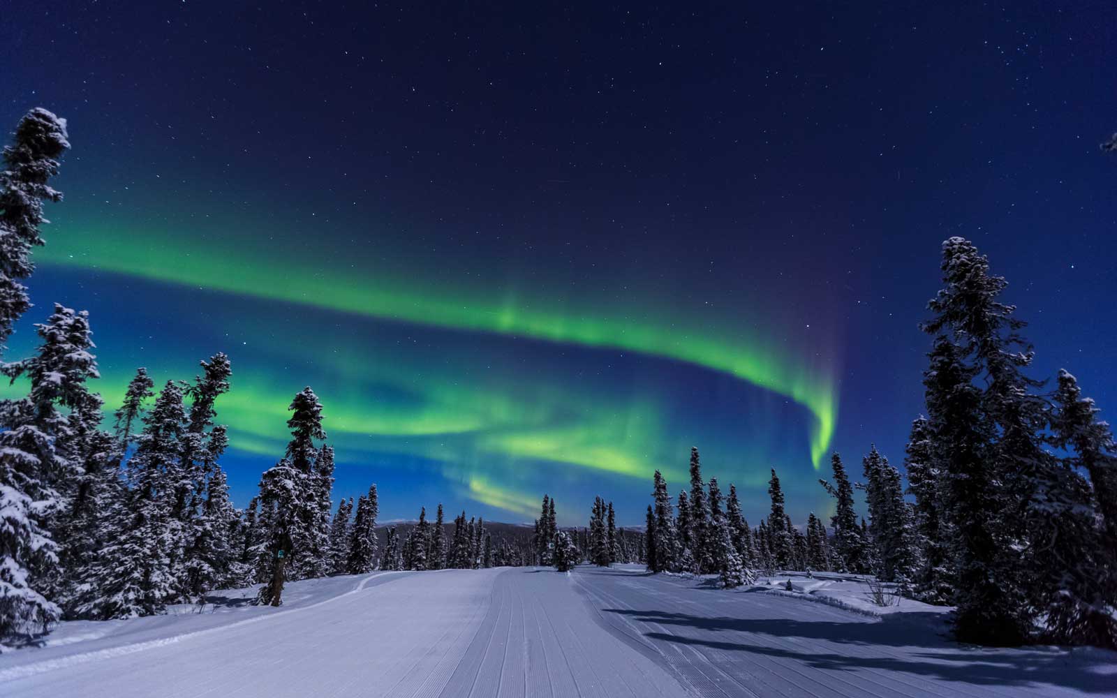 See the Northern Lights in Alaska on a luxury trip with Paramount Cruises