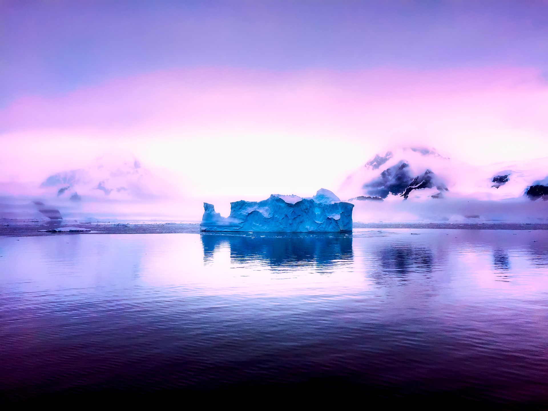 The raw, wild beauty of Antarctica