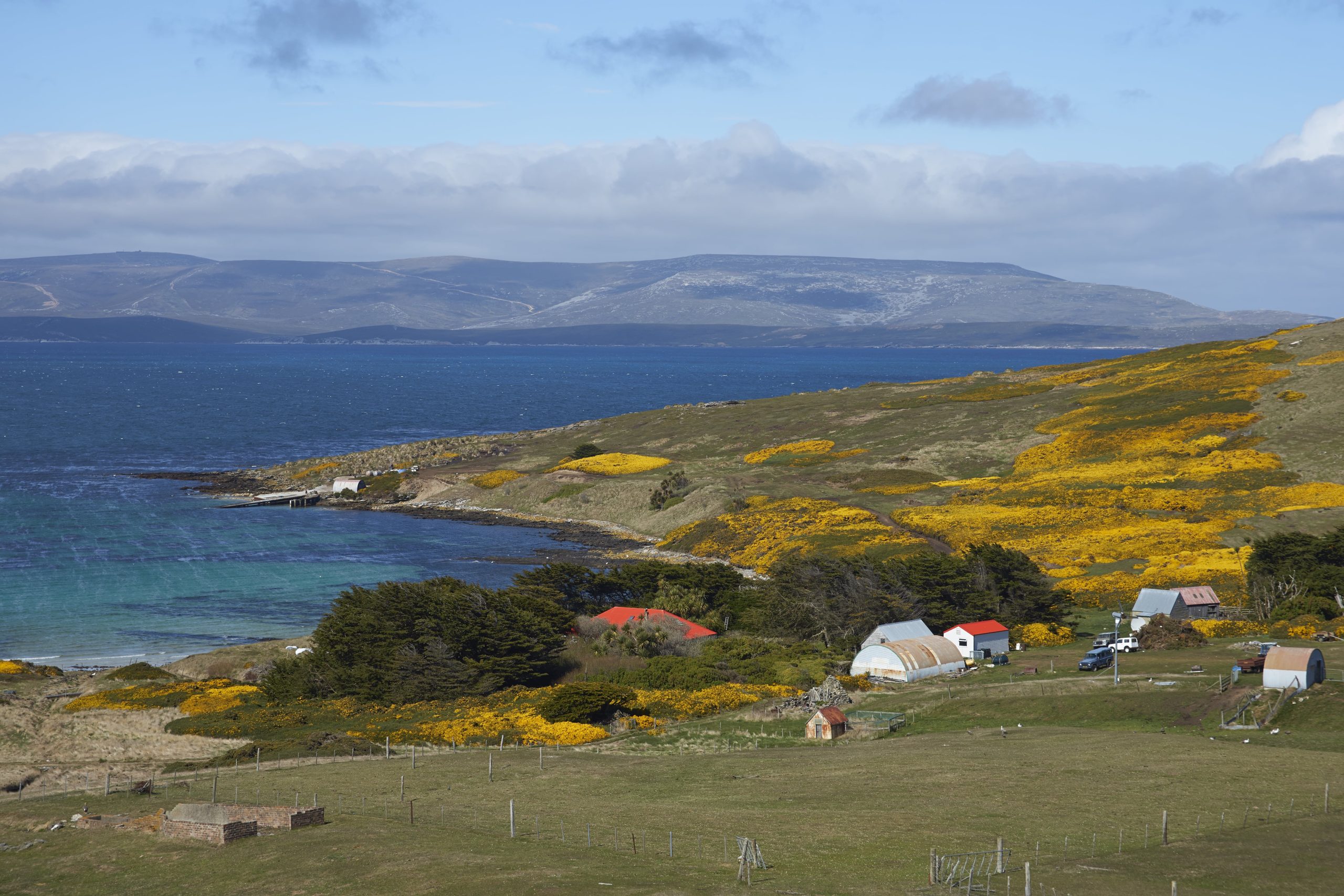 Falkland Islands cruise - Carcass Island