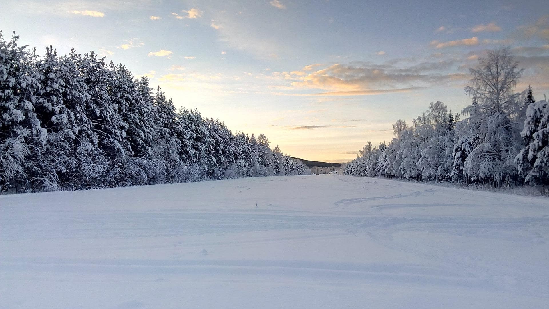 Sweden winter landscape