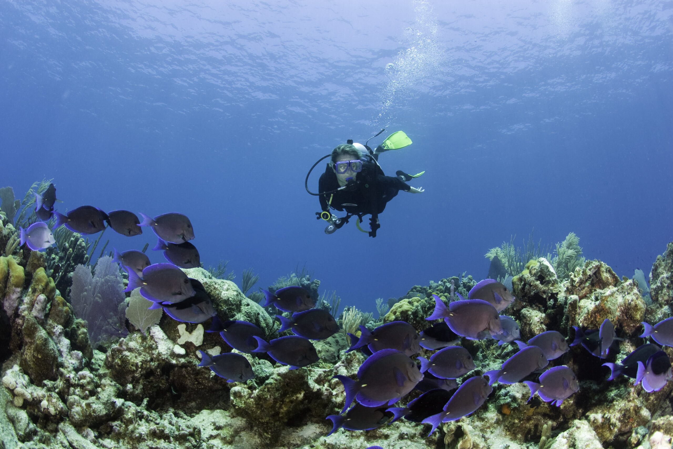 turks and caicos diving winter sun cruises