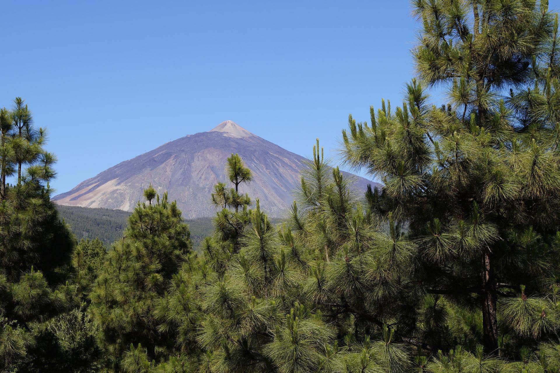 Mount Teide Tenerife Canary islands