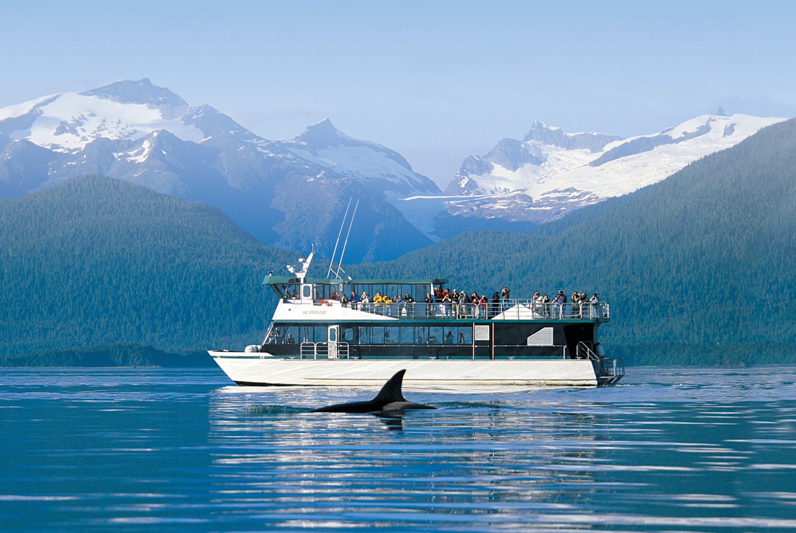 Alaska cruises Juneau whale watcing
